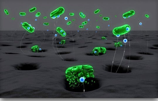 Computer-generated image of green bacteria-like organisms on a gray surface